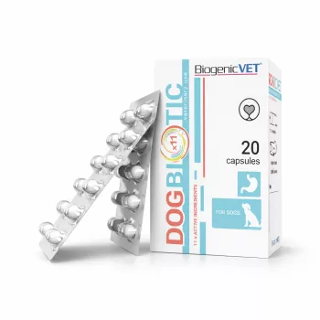 BiogenicVet Dogbiotic probiotikum kutyáknak 20x
