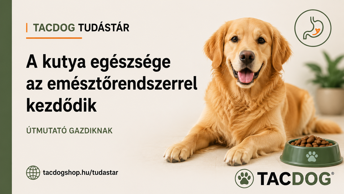 A kutya egészsége az emésztőrendszerrel kezdődik