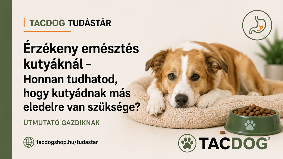 Érzékeny emésztés kutyáknál – Honnan tudhatod, hogy kutyádnak más eledelre van szüksége?