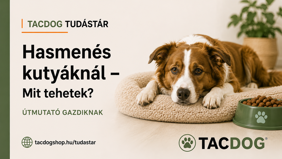 Hasmenés kutyáknál – Mikor elég a diéta és mikor kell állatorvoshoz fordulni? 