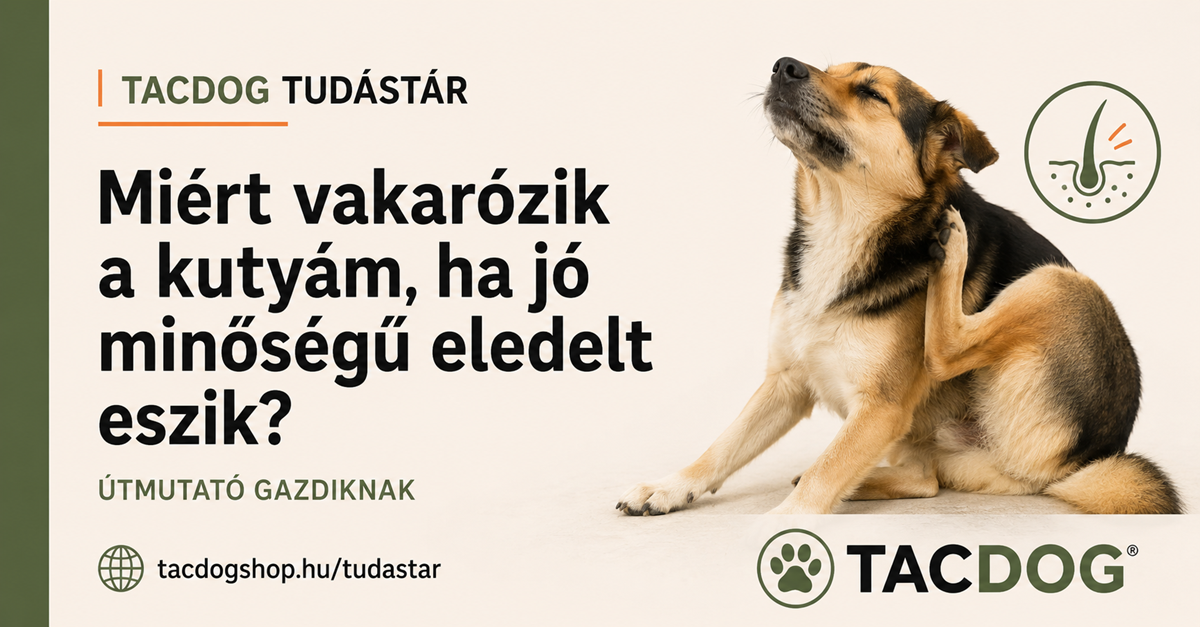 Miért vakarózik a kutyám, ha jó minőségű eledelt eszik?