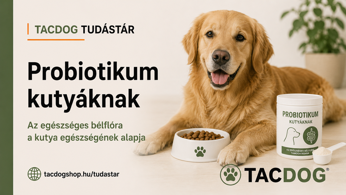 Probiotikum kutyáknak – Mikor lehet hasznos, és hogyan válasszunk?